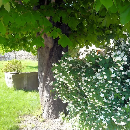 Gite Les Marronniers Saint-Etienne-de-Gourgas